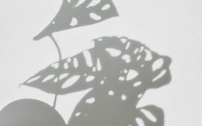 Profil 2/4 Human Design : Le Génie Attachant