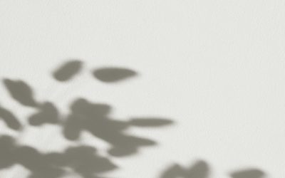 Profil 5/1 Design Humain : Le Résolveur de Challenges
